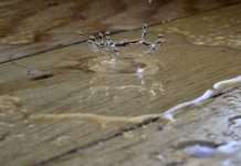 ZestyAI’s Z-WATER wins approval in 20+ US states ZestyAI's Z-WATER wins approval in 20+ US states