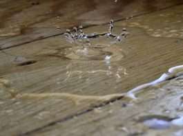 ZestyAI's Z-WATER wins approval in 20+ US states