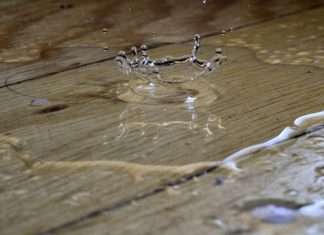 ZestyAI's Z-WATER wins approval in 20+ US states
