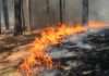 Wildfire data model drives new California cover