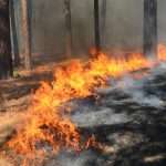 Wildfire data model drives new California cover