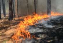Wildfire data model drives new California cover