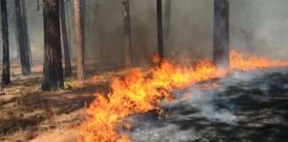 Wildfire data model drives new California cover
