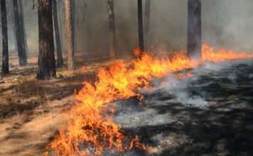 Wildfire data model drives new California cover