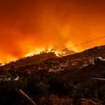 AI brings new precision to Risk Theory’s wildfire underwriting