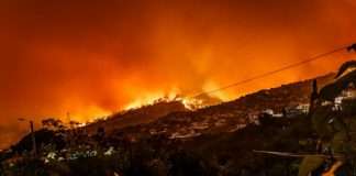 AI brings new precision to Risk Theory’s wildfire underwriting