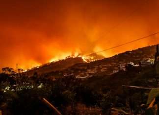 AI brings new precision to Risk Theory’s wildfire underwriting