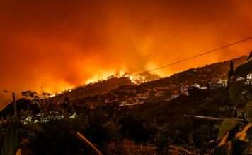 AI brings new precision to Risk Theory’s wildfire underwriting