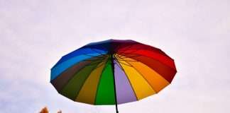 Insight Partners leads $45m round for Luzern Risk