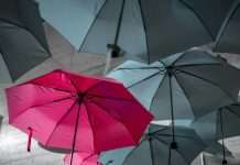 CoverGo lands $6m as AI-native InsurTech hits breakeven
