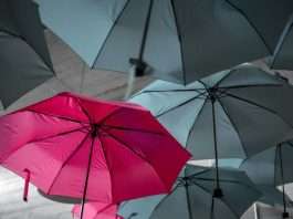 CoverGo lands $6m as AI-native InsurTech hits breakeven