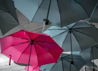 CoverGo lands $6m as AI-native InsurTech hits breakeven