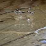 Escape-of-water losses push insurers towards prevention