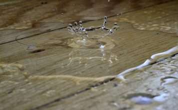 Quensus and Aviva target water claims with prevention Escape-of-water losses push insurers towards prevention