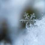 Smart leak prevention targets costly winter property claims
