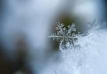Smart leak prevention targets costly winter property claims