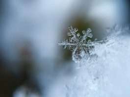 Smart leak prevention targets costly winter property claims
