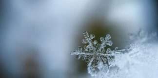 Smart leak prevention targets costly winter property claims