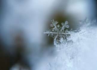 Smart leak prevention targets costly winter property claims Smart leak prevention targets costly winter property claims
