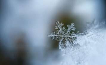 Smart leak prevention targets costly winter property claims